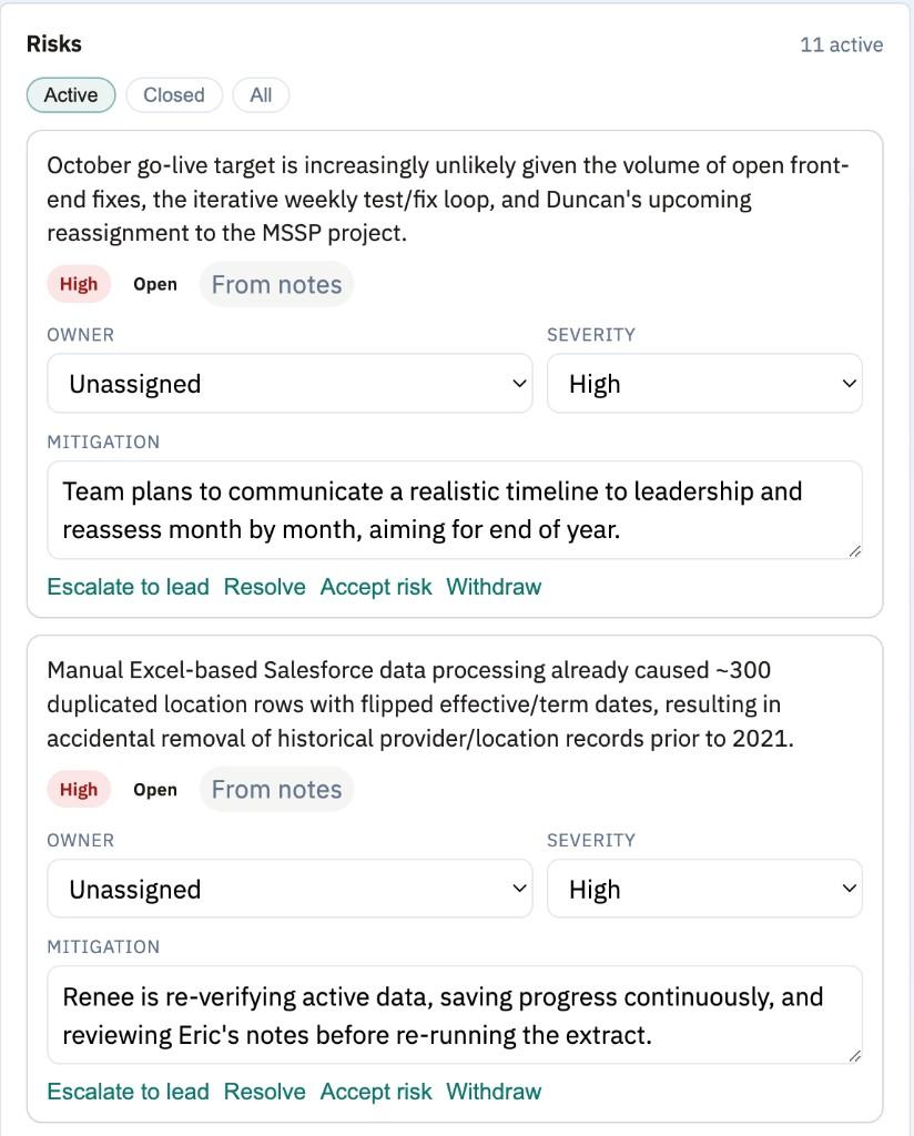 CadenceXL risks list with severity, owner, and mitigation